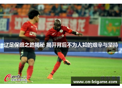 辽足保级之路揭秘 揭开背后不为人知的艰辛与坚持 辽足保级之路揭秘 揭开背后不为人知的艰辛与坚持