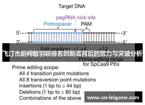 飞汀杰蔚阀敏羽联排名创新高背后的努力与突破分析