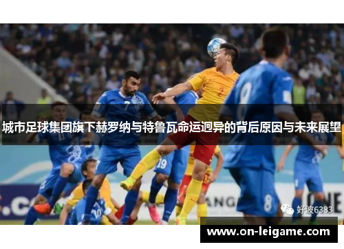 城市足球集团旗下赫罗纳与特鲁瓦命运迥异的背后原因与未来展望