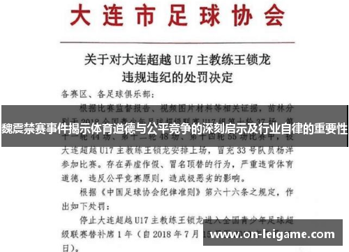 魏震禁赛事件揭示体育道德与公平竞争的深刻启示及行业自律的重要性
